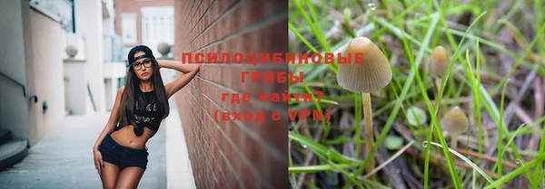 шишки Абинск