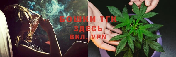 шишки Абинск