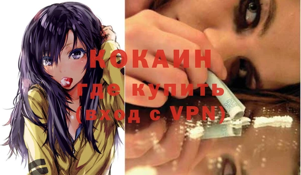 шишки Абинск