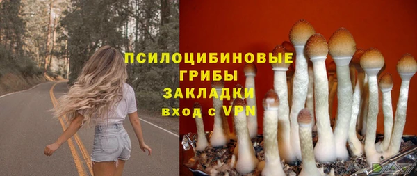 шишки Абинск