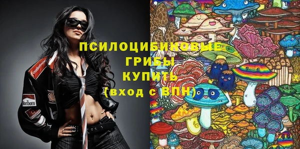 амф Абаза