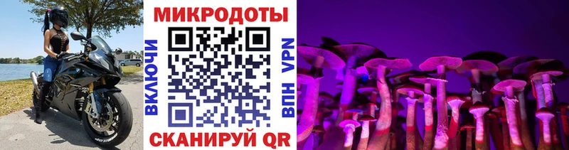 Псилоцибиновые грибы Psilocybine cubensis  Сызрань 