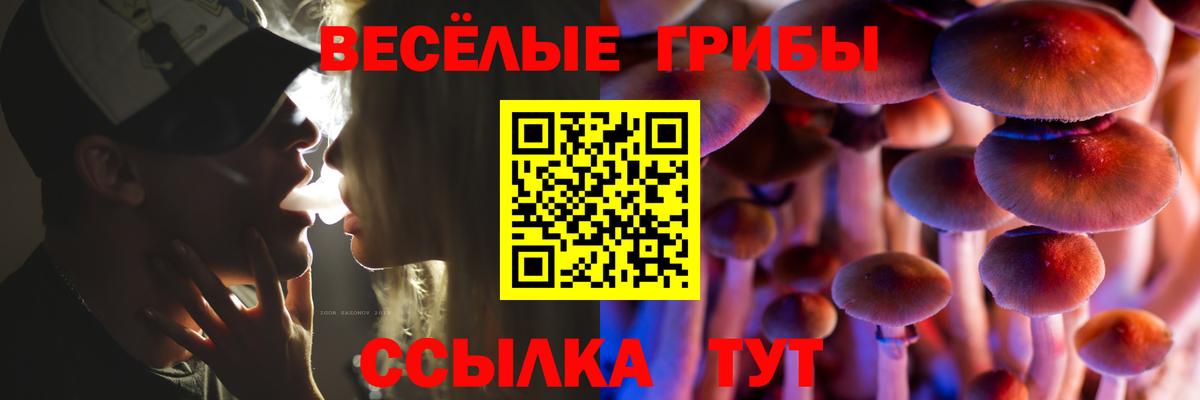 Галлюциногенные грибы прущие грибы  Вход с VPN  сколько стоит  Псилоцибиновые грибы Magic Shrooms  Сызрань 